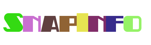 SnapInfo Insights>